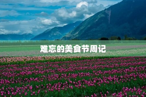 难忘的美食节周记 难忘的美食节周记