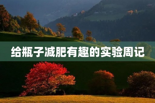 给瓶子减肥有趣的实验周记