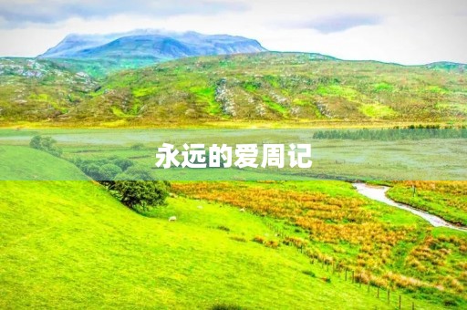 永远的爱周记 永远的爱周记