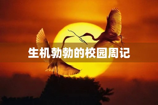 生机勃勃的校园周记 生机勃勃的校园周记