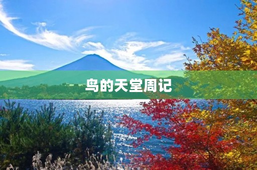鸟的天堂周记 鸟的天堂周记