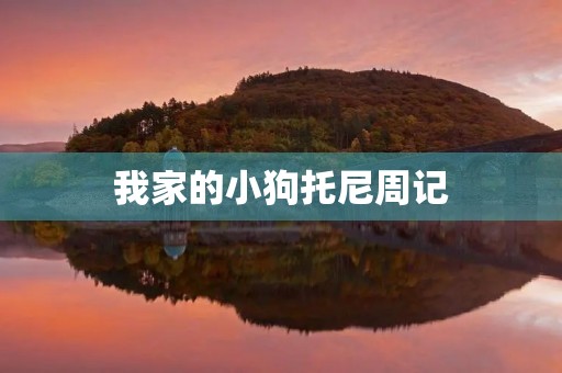 我家的小狗托尼周记 我家的小狗托尼周记