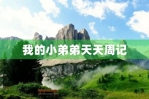 我的小弟弟天天周记