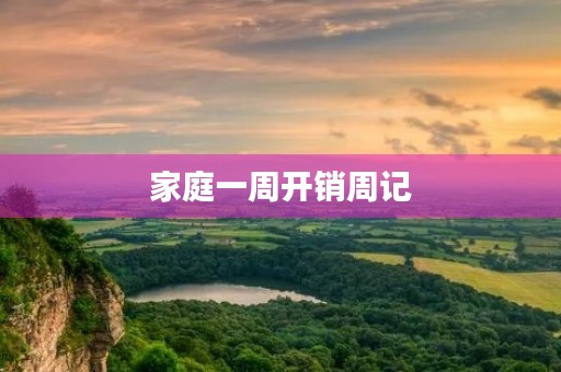 家庭一周开销周记 家庭一周开销周记