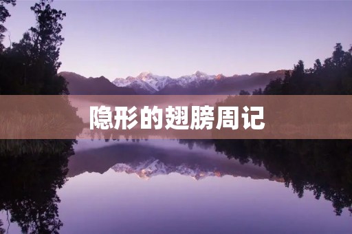 隐形的翅膀周记