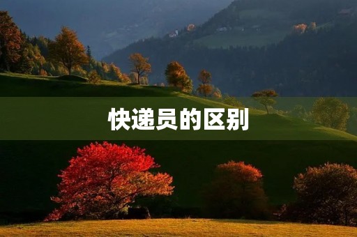 快递员的区别