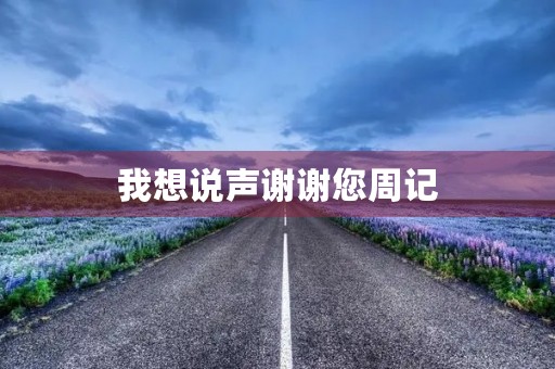 我想说声谢谢您周记