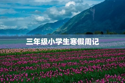 三年级小学生寒假周记