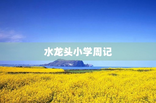 水龙头小学周记 水龙头小学周记