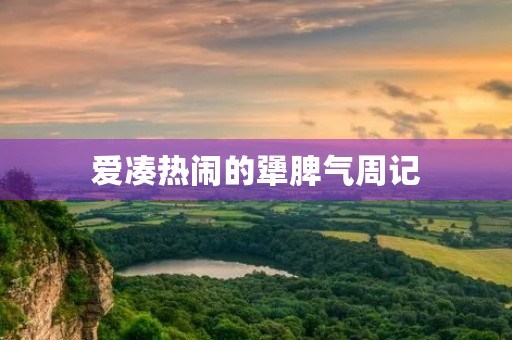 爱凑热闹的犟脾气周记 爱凑热闹的犟脾气周记