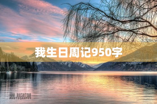 我生日周记950字 我生日周记950字