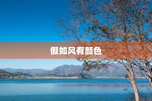 假如风有颜色 假如风有颜色