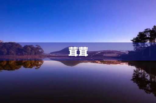 茸茸