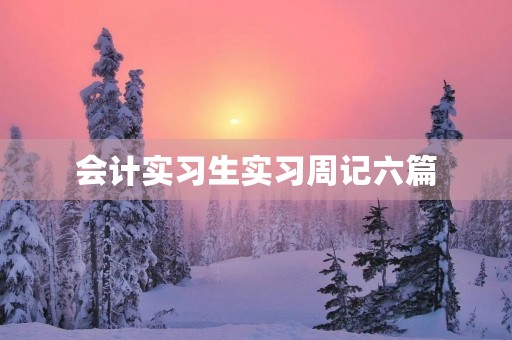 会计实习生实习周记六篇