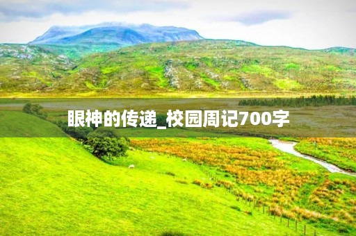 眼神的传递_校园周记700字