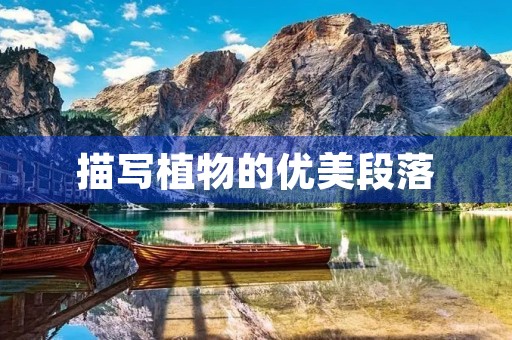 描写植物的优美段落