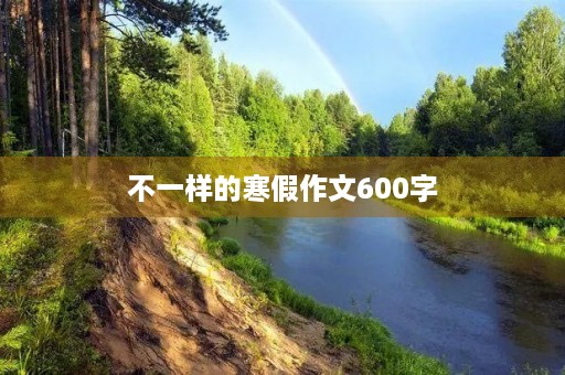 不一样的寒假作文600字 不一样的寒假作文600字