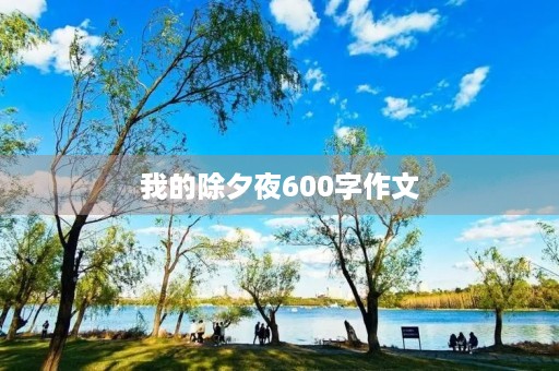 我的除夕夜600字作文 我的除夕夜600字作文