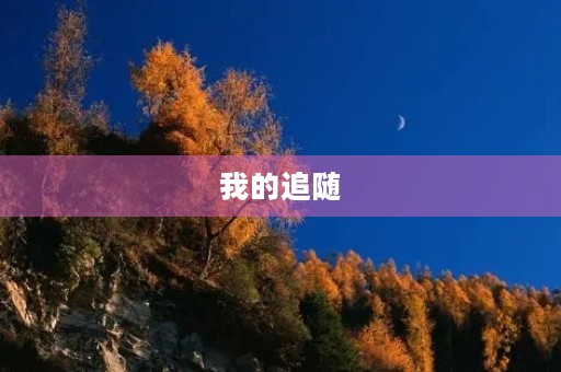 我的追随 我的追随