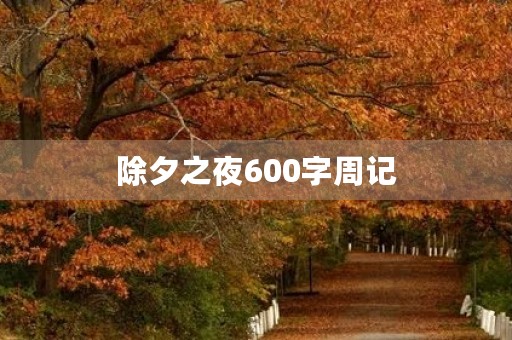 除夕之夜600字周记 除夕之夜600字周记