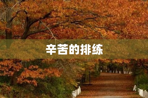辛苦的排练 辛苦的排练