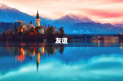 友谊 友谊
