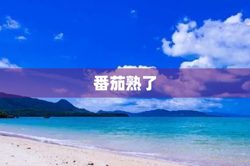 番茄熟了 番茄熟了