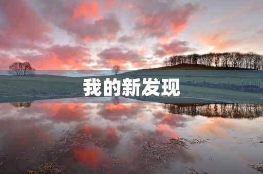 我的新发现 我的新发现