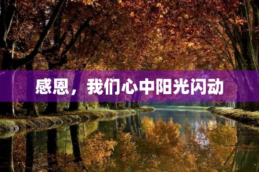 感恩，我们心中阳光闪动
