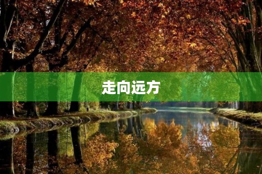 走向远方 走向远方