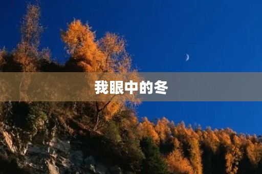我眼中的冬 我眼中的冬