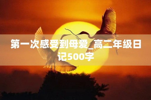 第一次感受到母爱_高二年级日记500字