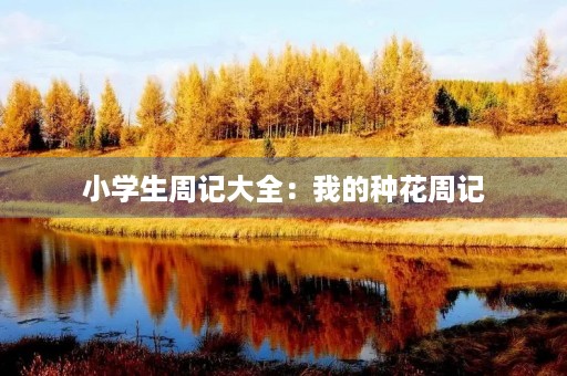 小学生周记大全：我的种花周记