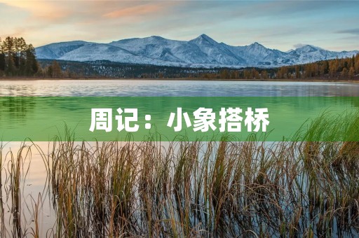 周记:小象搭桥 周记:小象搭桥