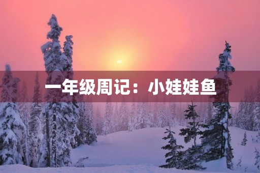 一年级周记：小娃娃鱼