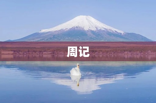 周记 周记