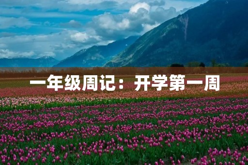 一年级周记：开学第一周