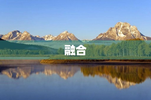 融合 融合