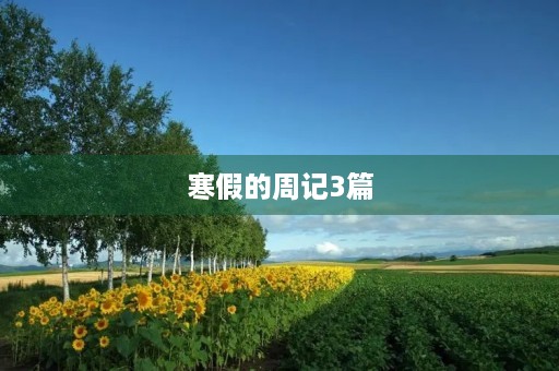 寒假的周记3篇