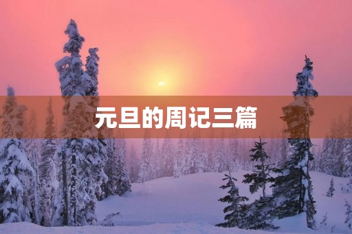 元旦的周记三篇