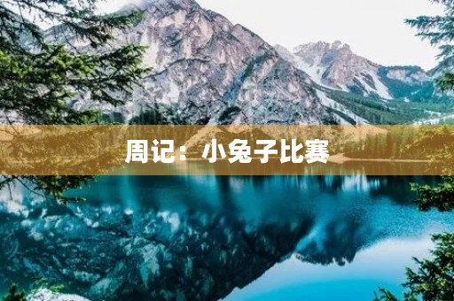 周记:小兔子比赛 周记:小兔子比赛