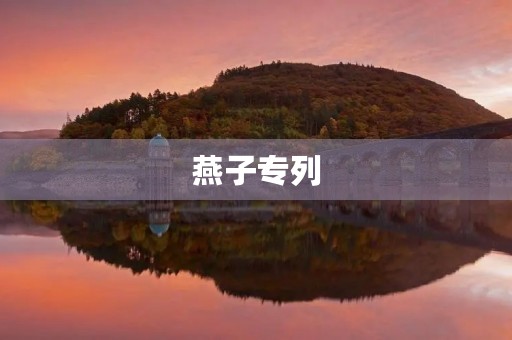 燕子专列 燕子专列