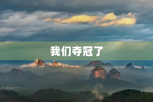 我们夺冠了 我们夺冠了