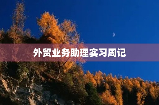 外贸业务助理实习周记 外贸业务助理实习周记
