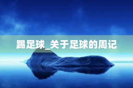 踢足球_关于足球的周记 踢足球_关于足球的周记