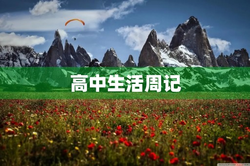 高中生活周记