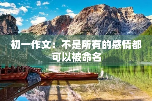 初一作文:不是所有的感情都可以被命名 初一作文:不是所有的感情都可以被命名