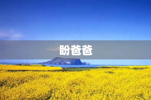 盼爸爸