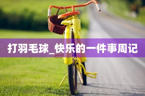 打羽毛球_快乐的一件事周记