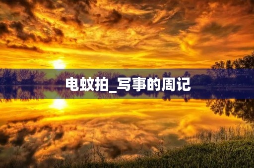 电蚊拍_写事的周记